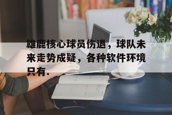 雷竞技官方网站-雄鹿核心球员伤退，球队未来走势成疑，各种软件环境只有.的简单介绍